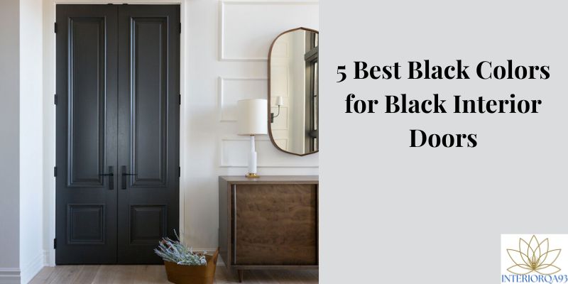 5 Best Black Colors for Black Interior Doors